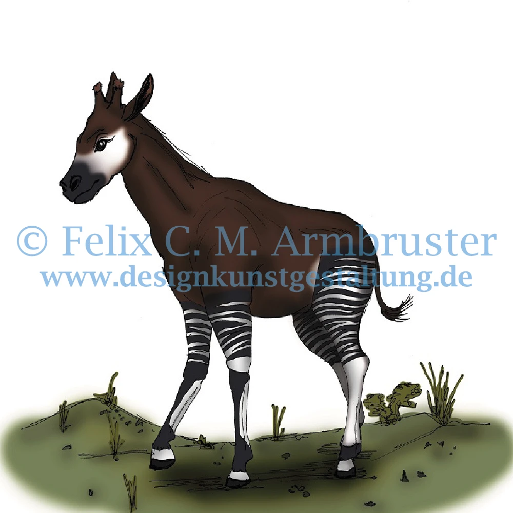 Tierbuch-Illustration - Okapi